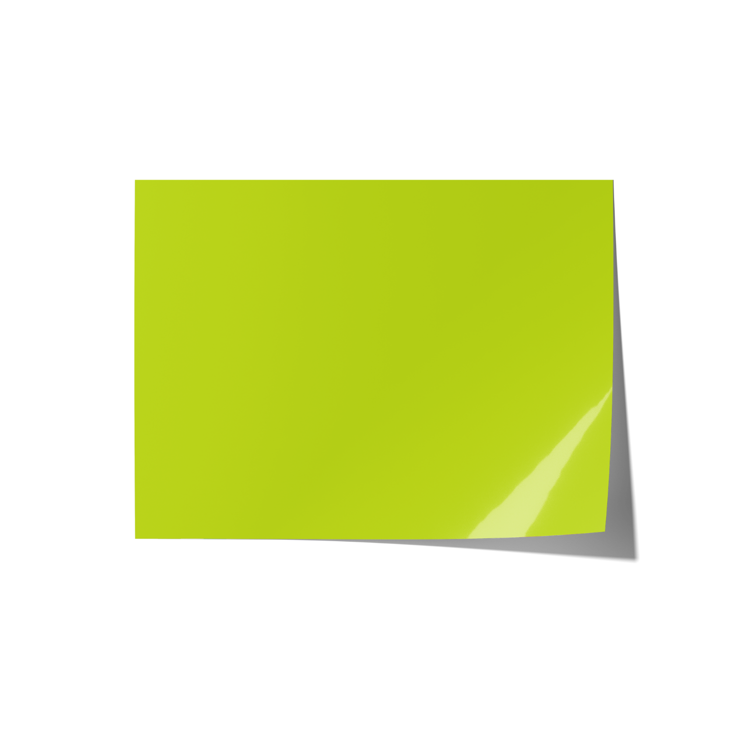 Solid Green Coloured Backdrops