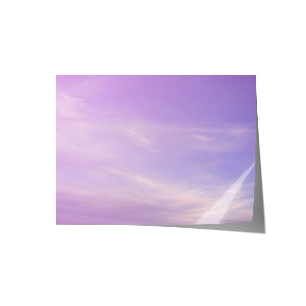 Dreamland Backdrops