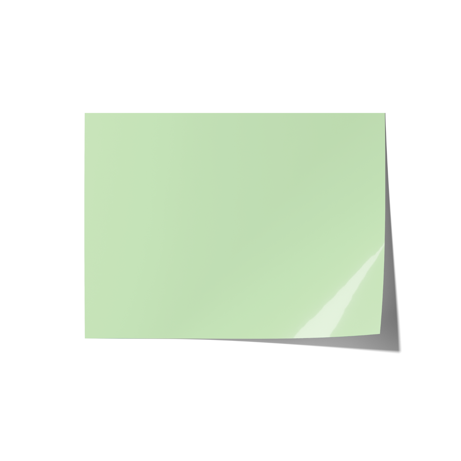Solid Green Coloured Backdrops