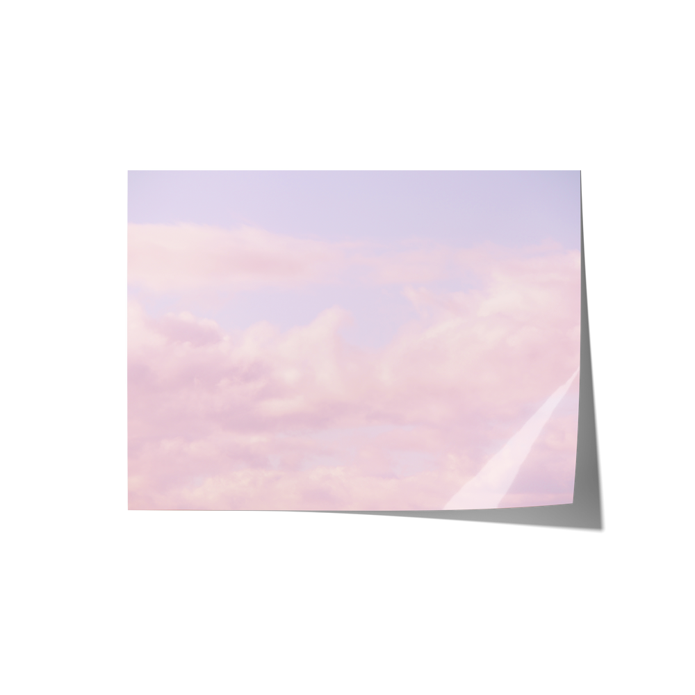 Dreamland Backdrops
