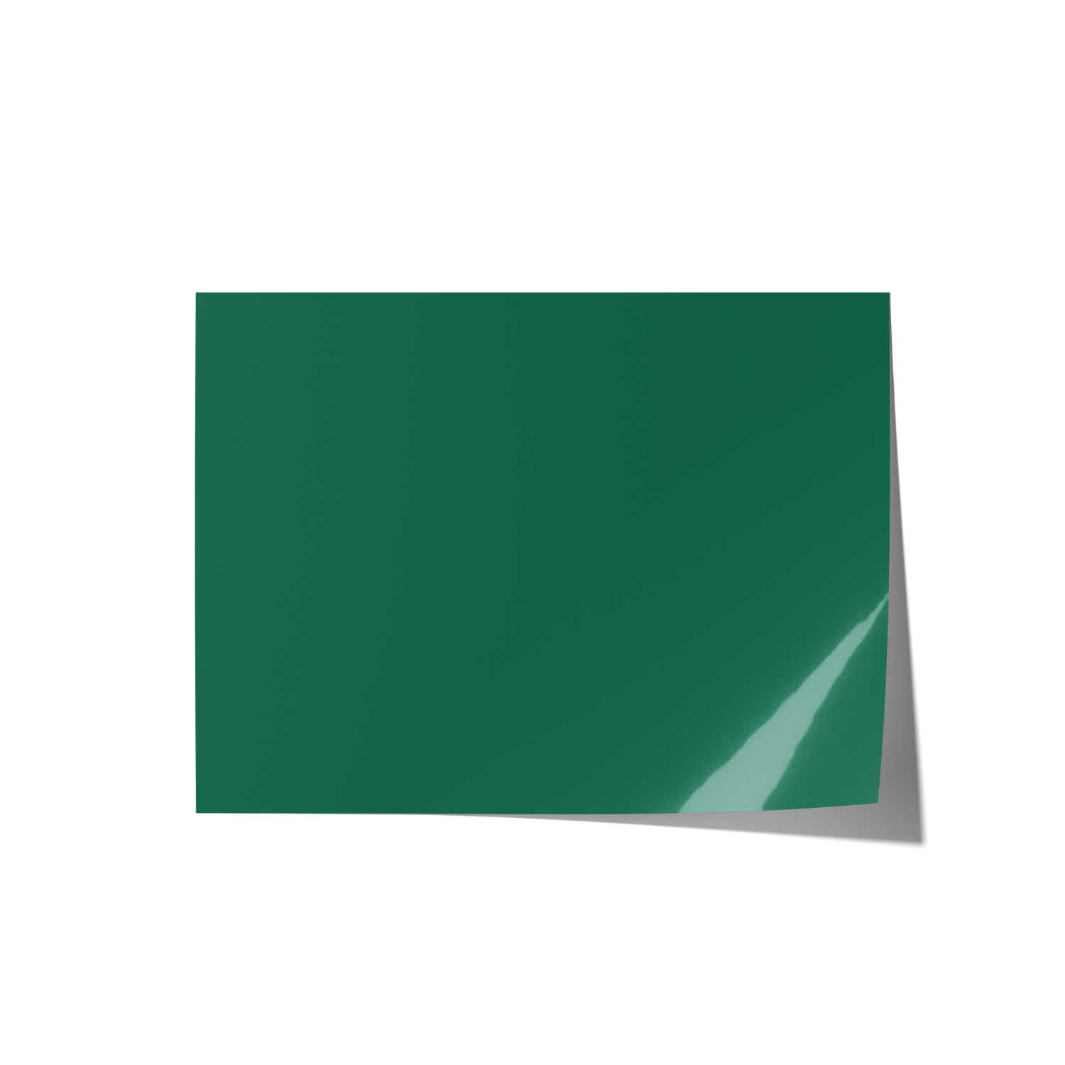 Solid Green Coloured Backdrops