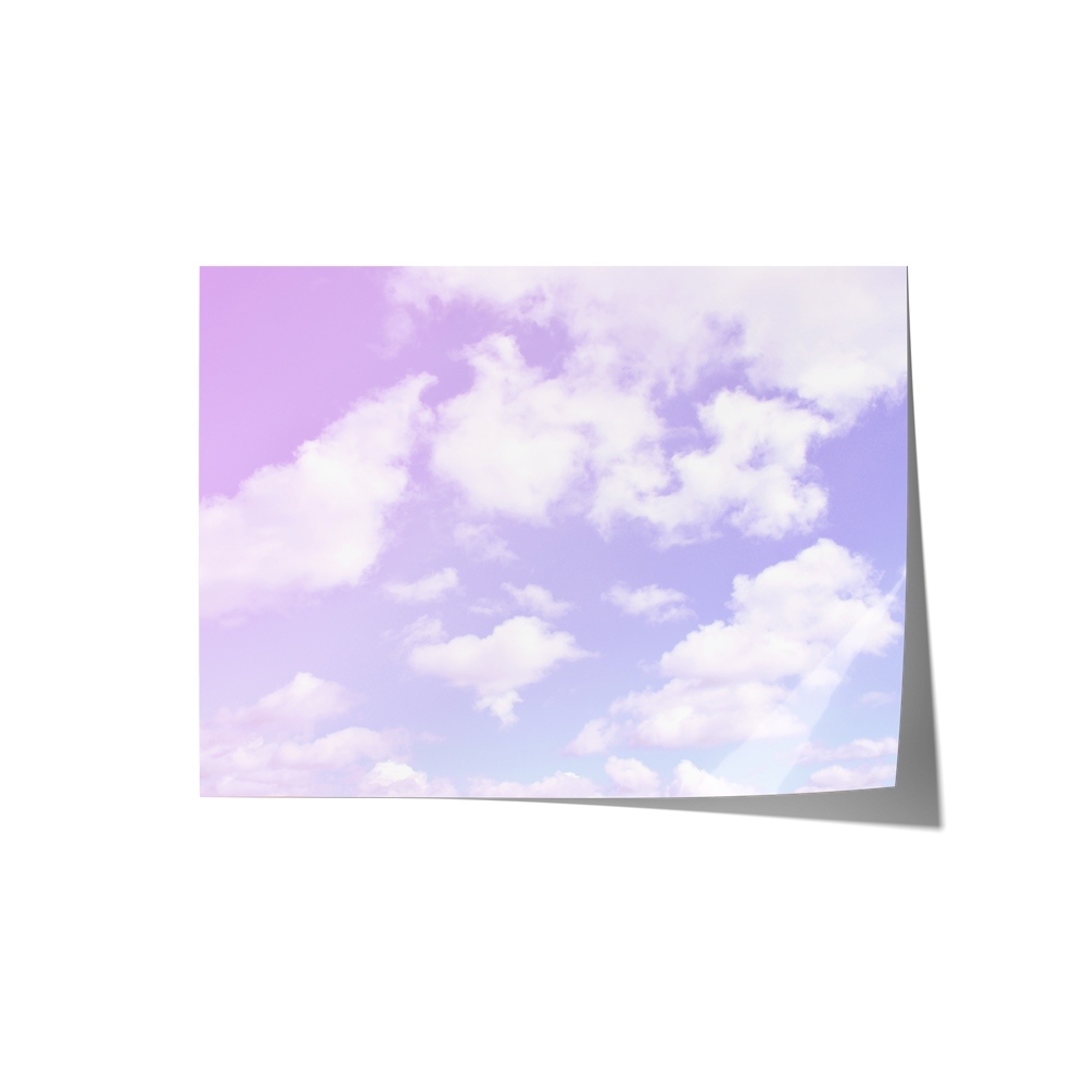 Dreamland Backdrops