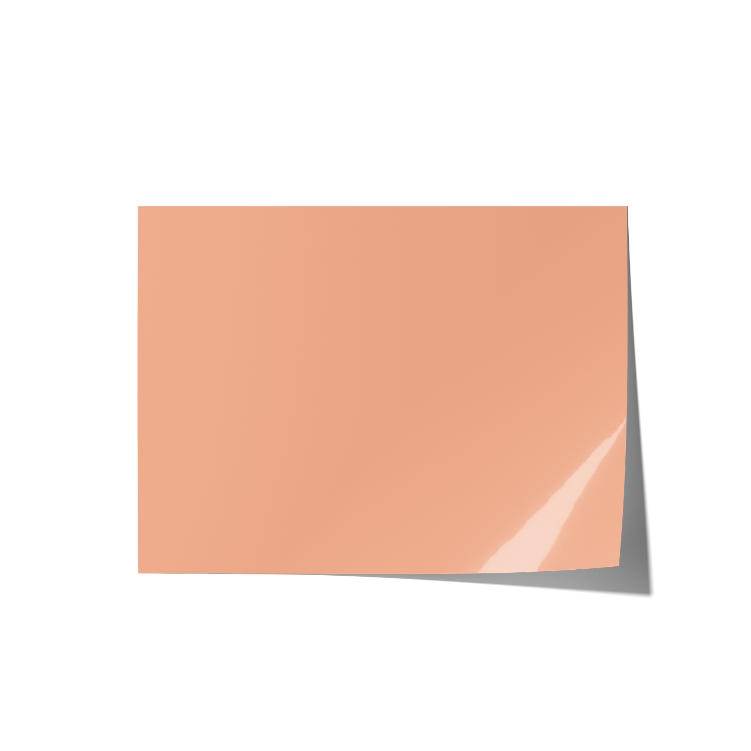 Solid Beige & Tan Toned Backdrops