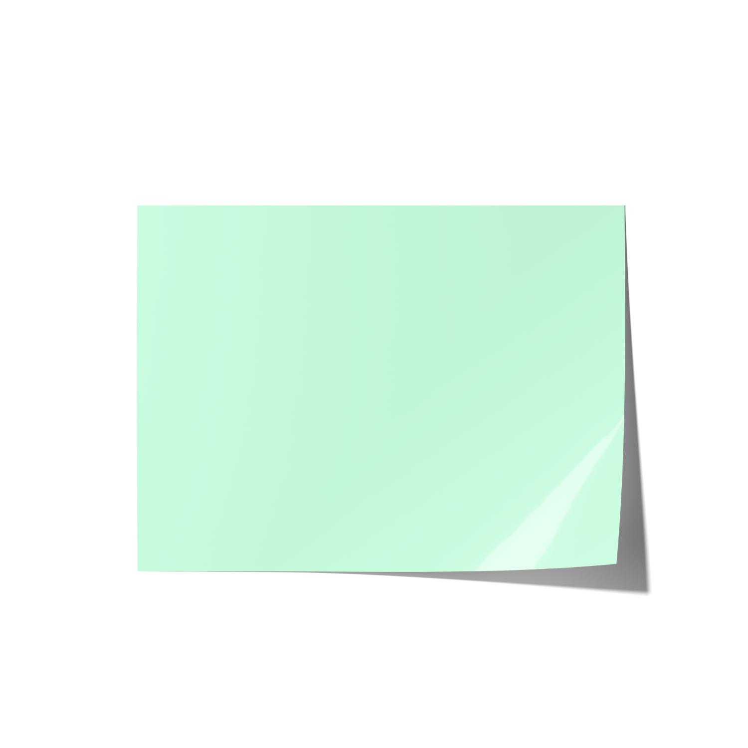 Solid Green Coloured Backdrops