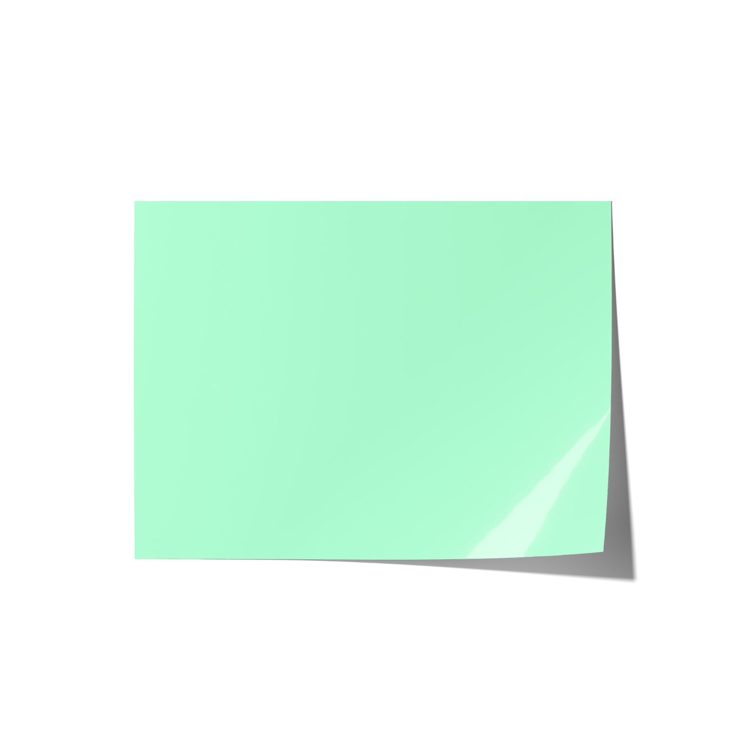 Solid Green Coloured Backdrops