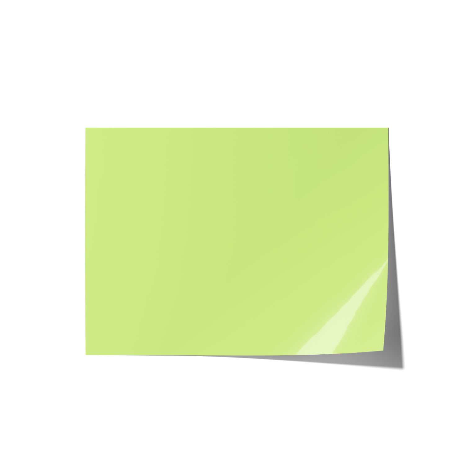 Solid Green Coloured Backdrops