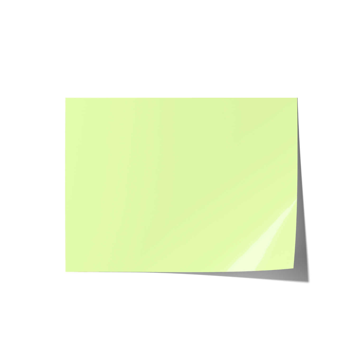 Solid Green Coloured Backdrops