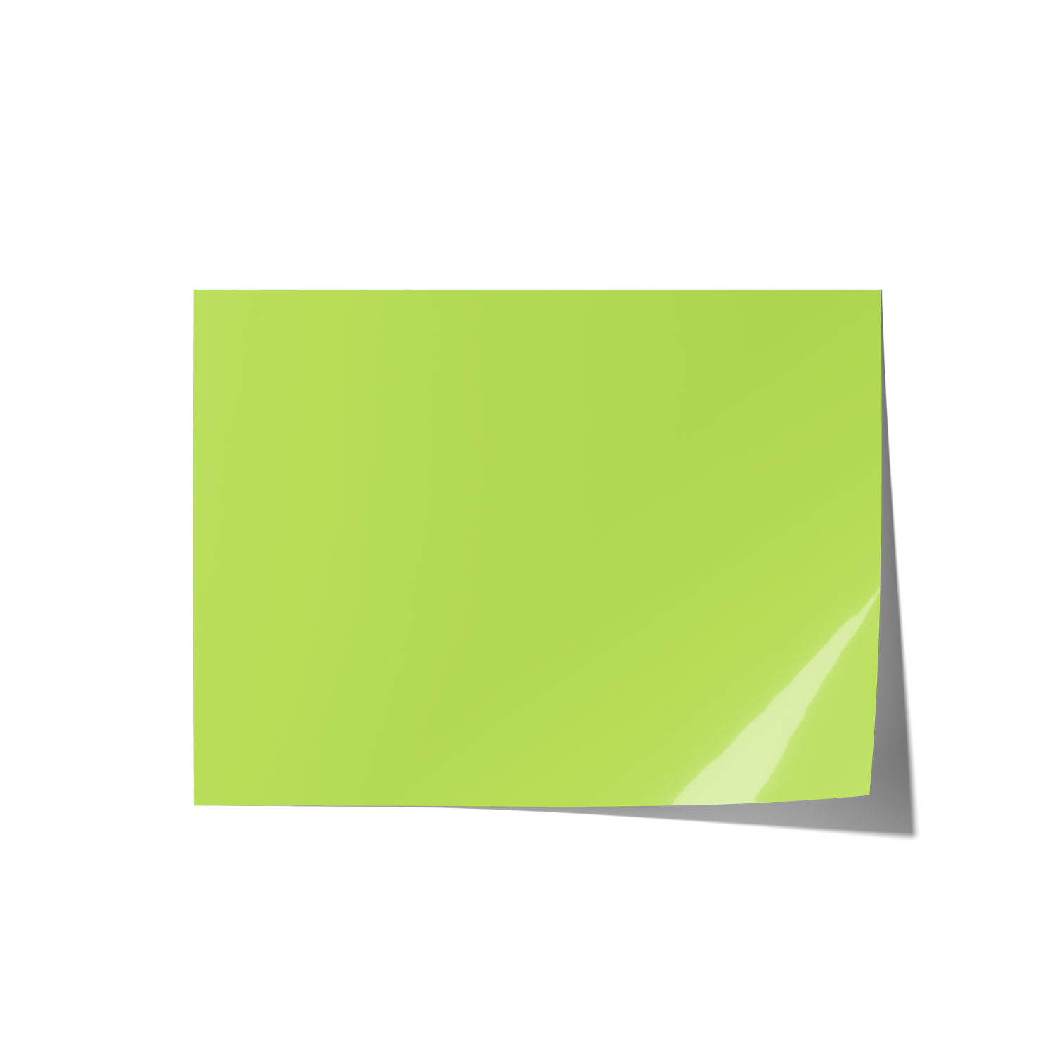 Solid Green Coloured Backdrops