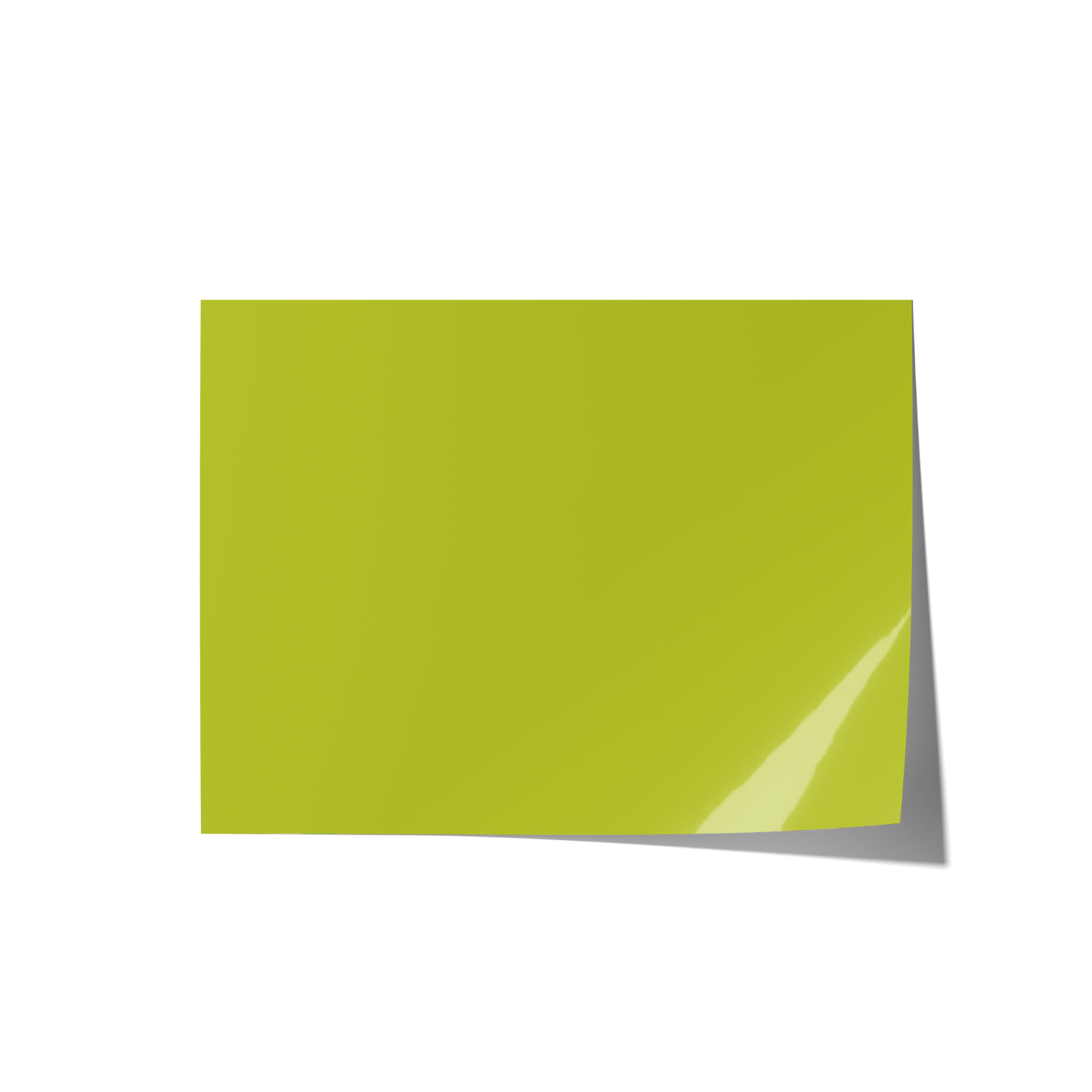 Solid Green Coloured Backdrops