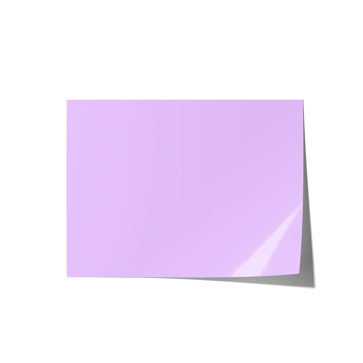 Solid Purple Backdrops
