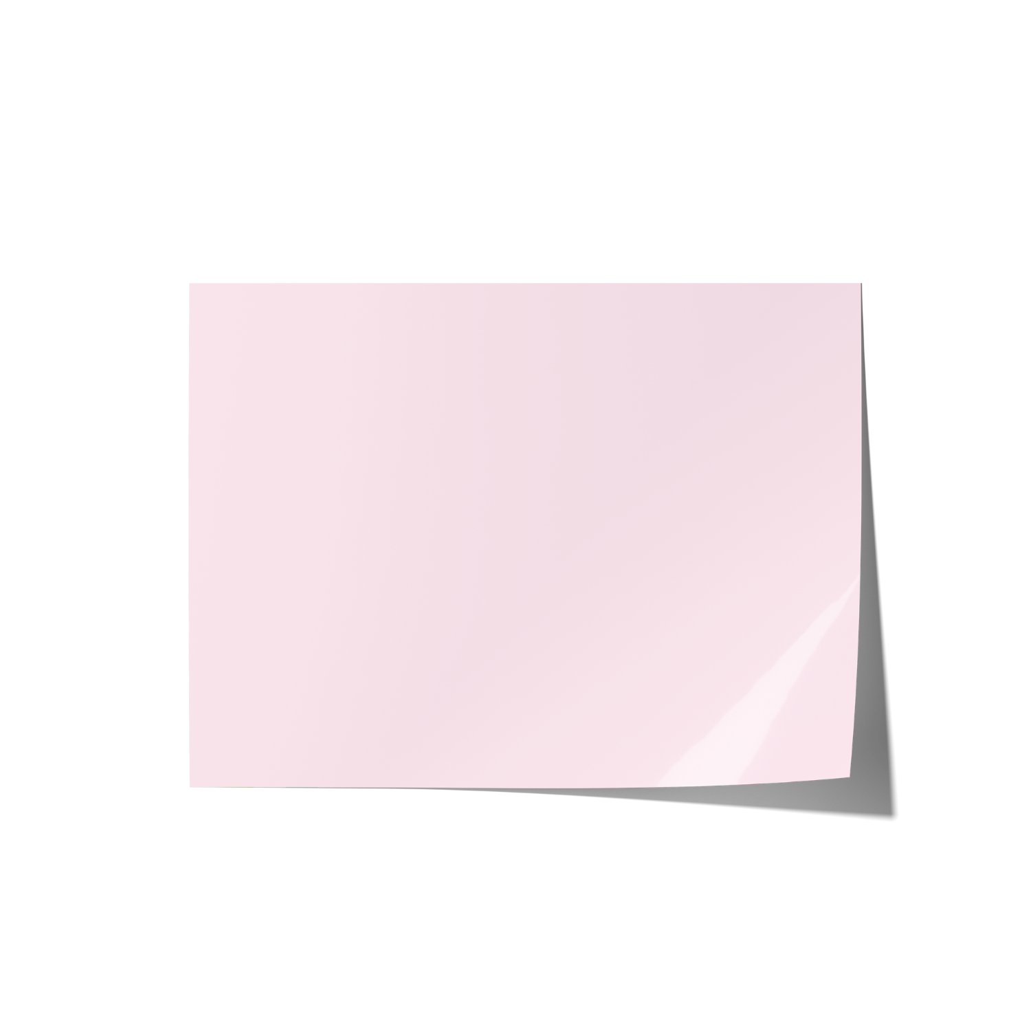 Solid Pink Backdrops