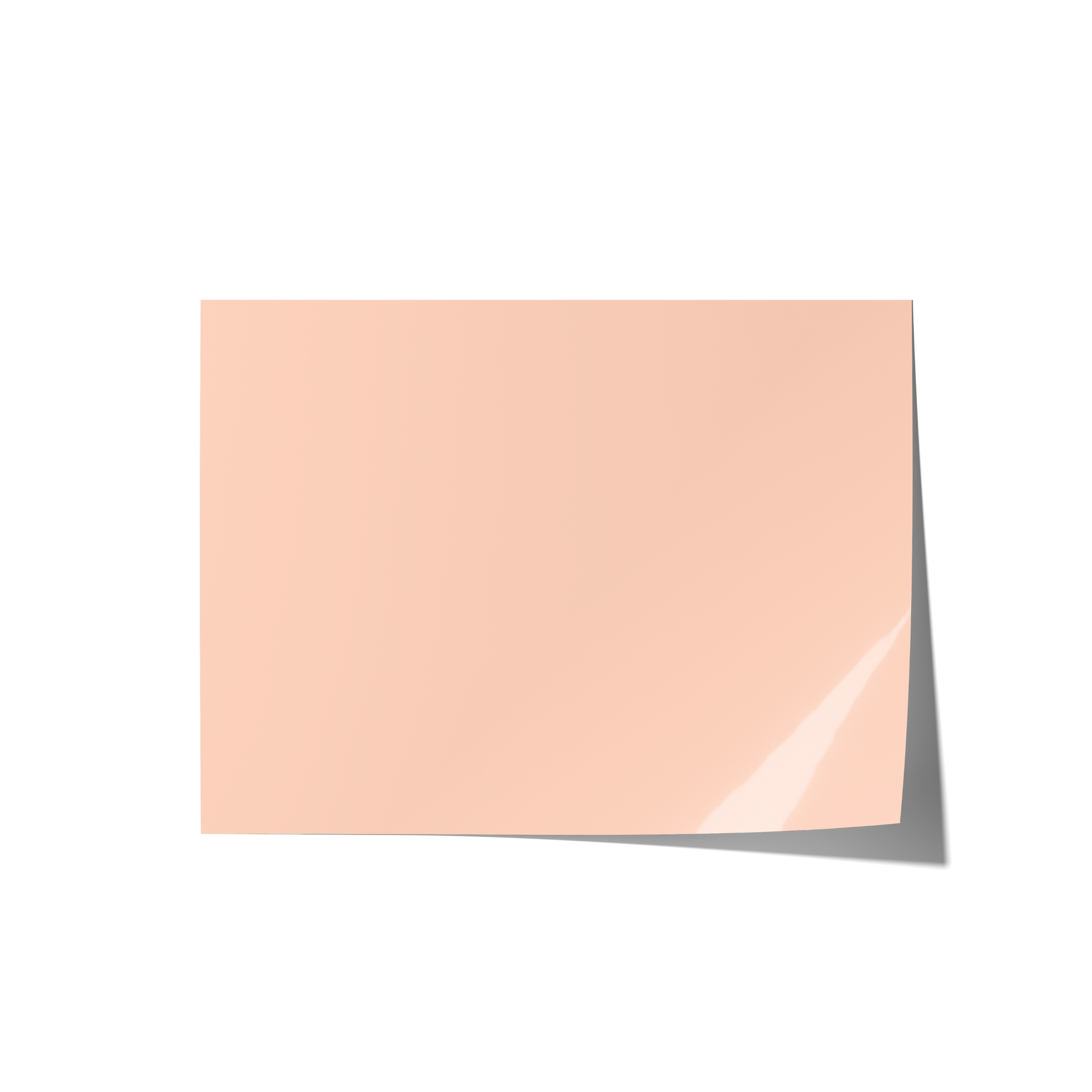 Solid Peach Backdrops