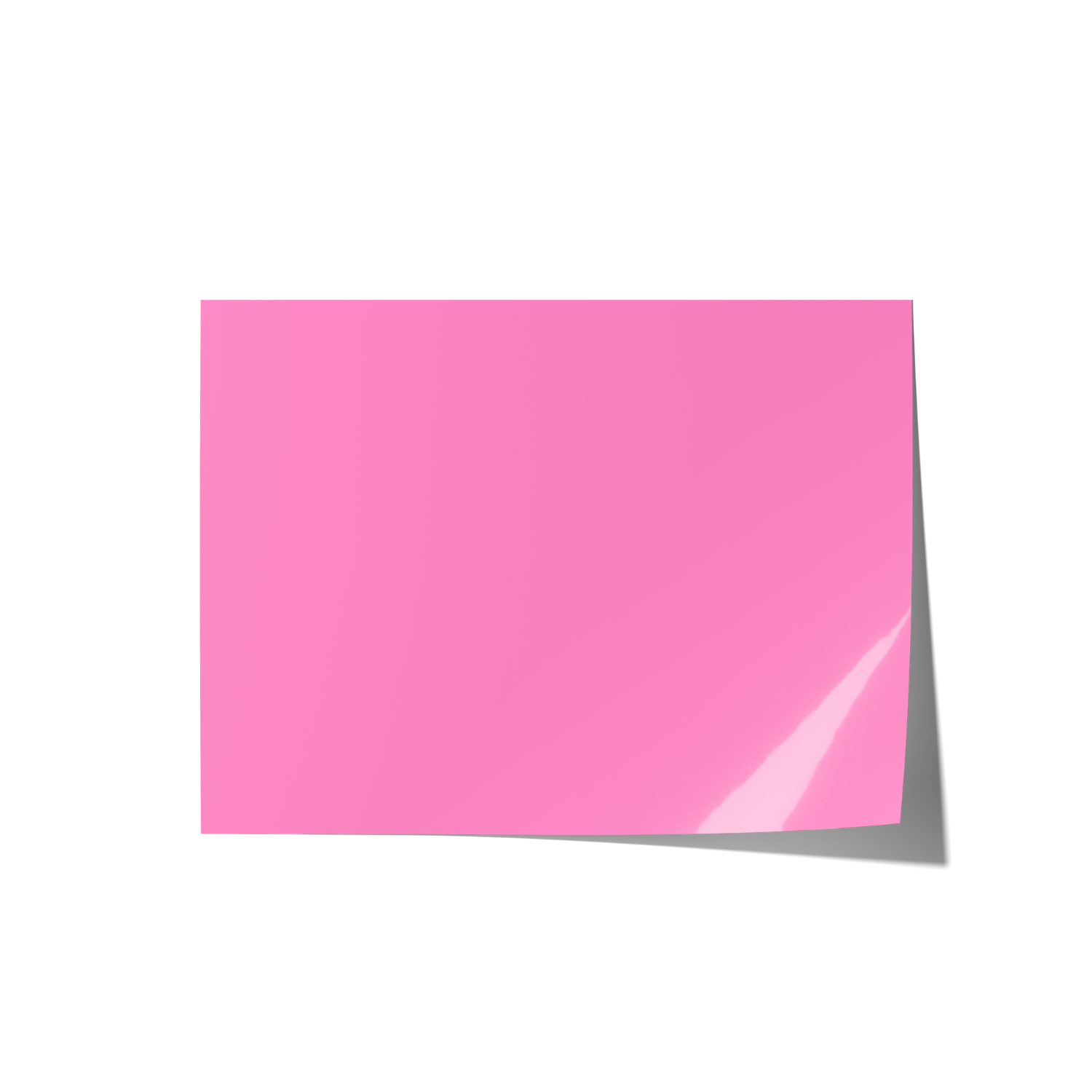 Solid Pink Backdrops