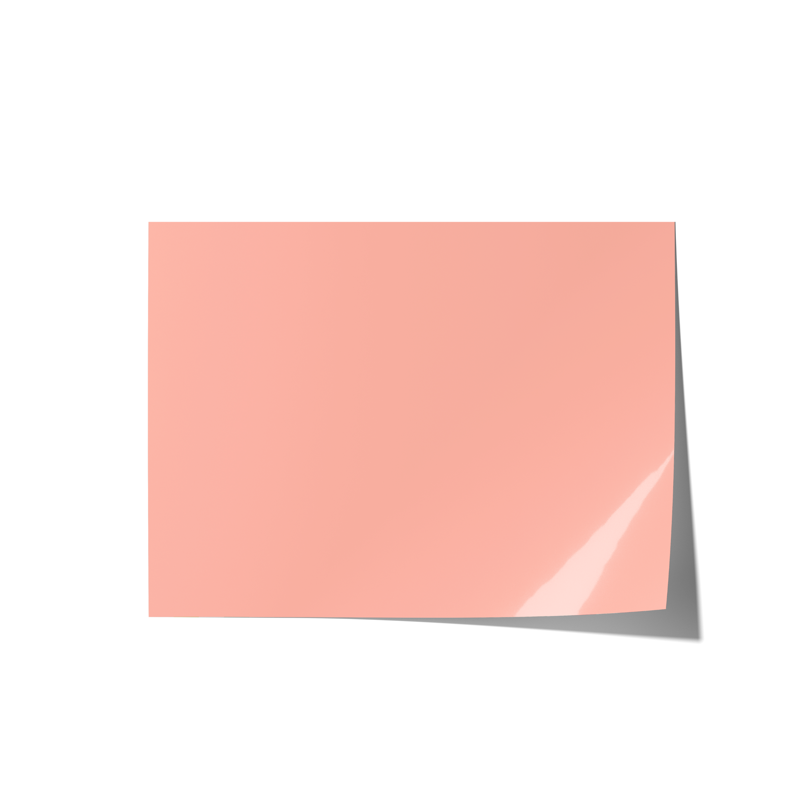 Solid Peach Backdrops