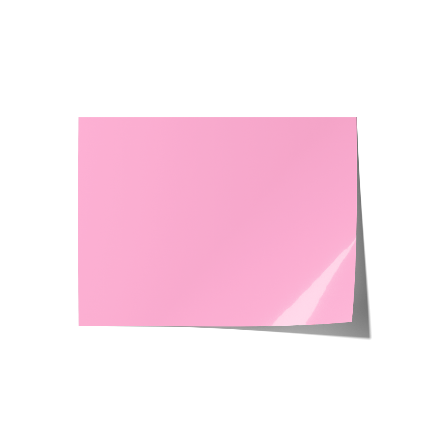 Solid Pink Backdrops