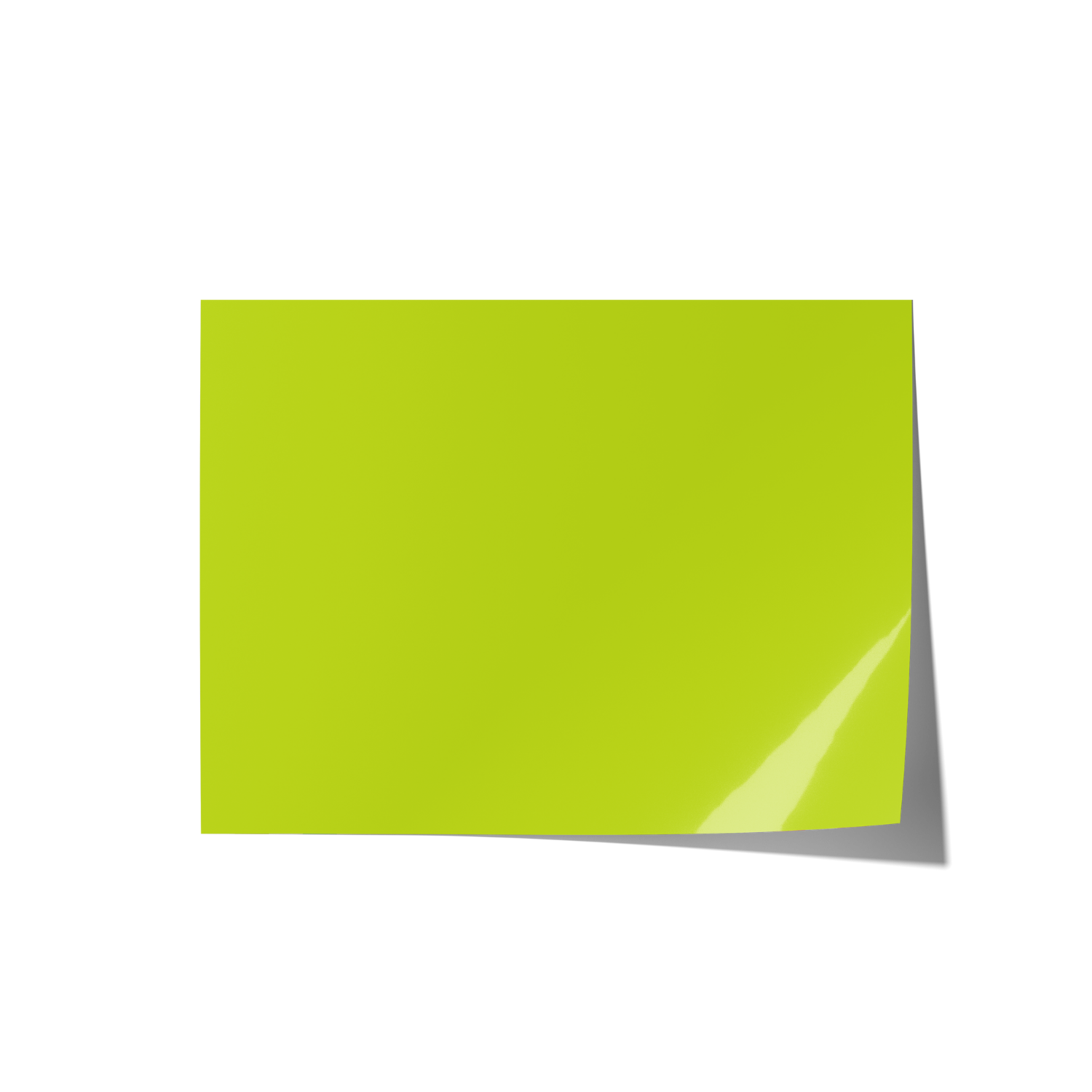 Solid Green Coloured Backdrops