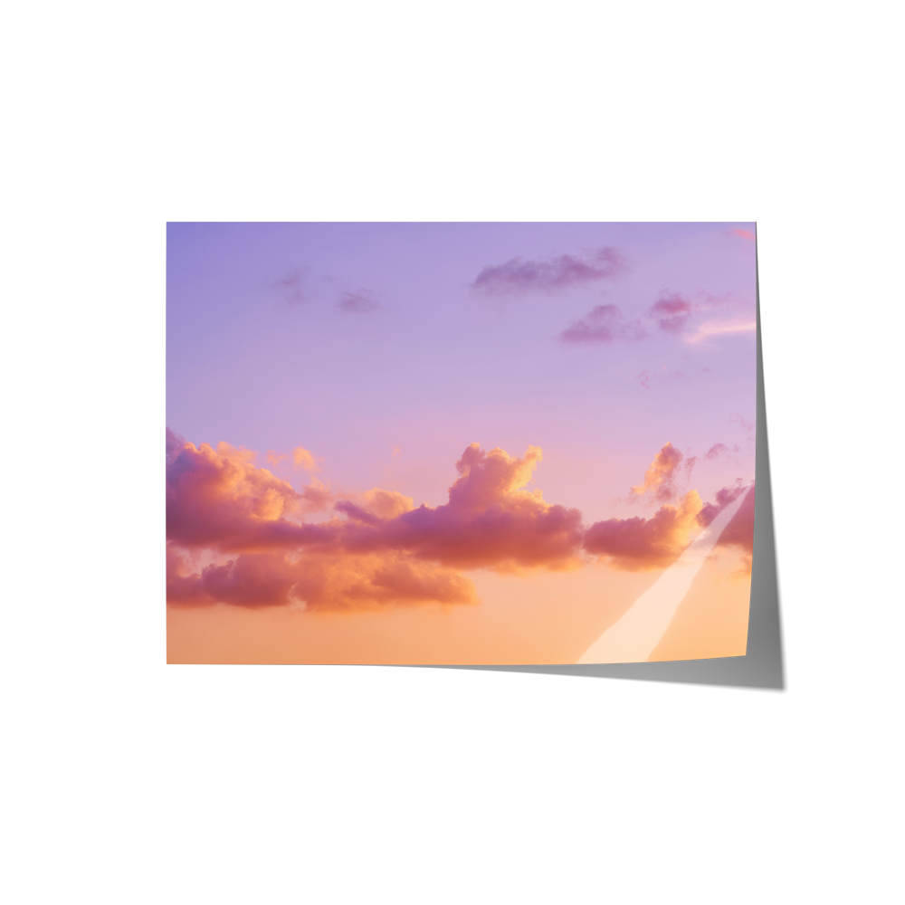 Dreamland Backdrops