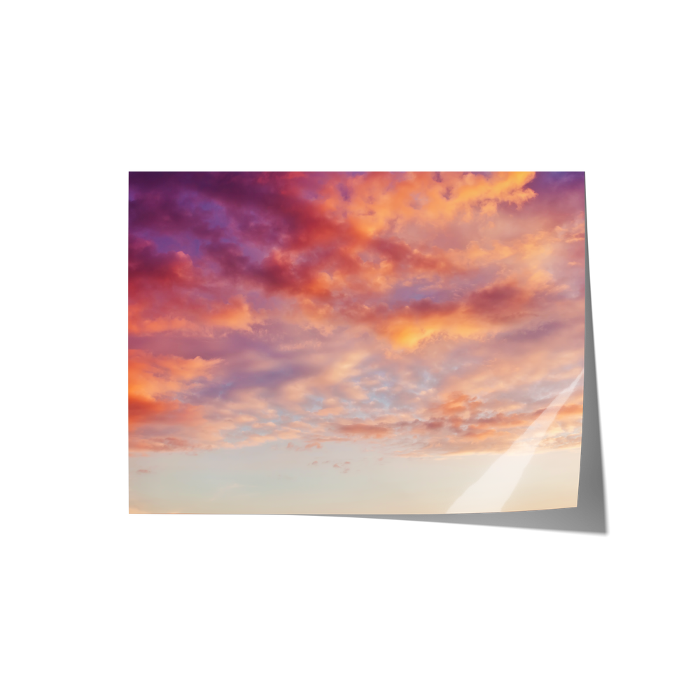 Dreamland Backdrops