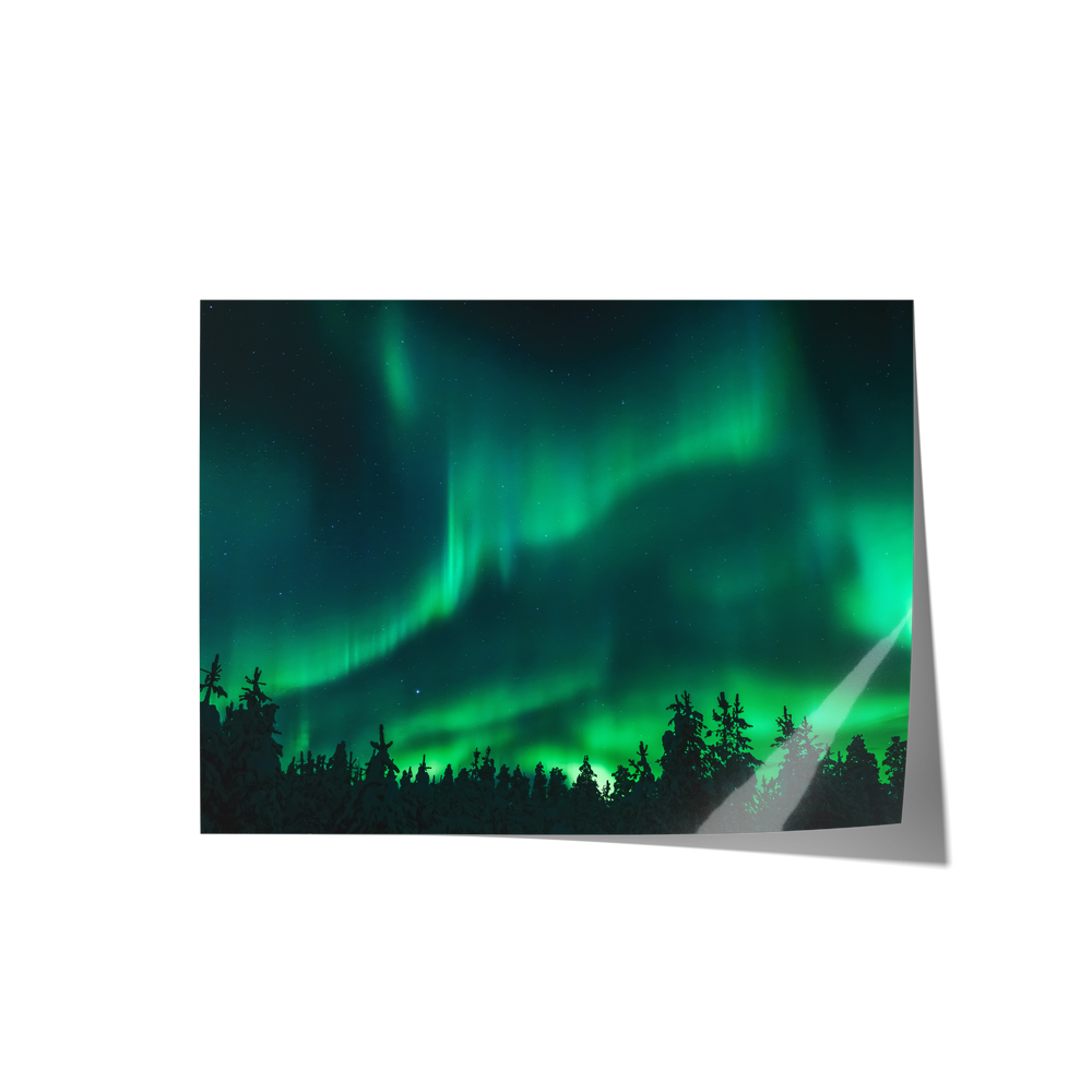 Night Sky Backdrops