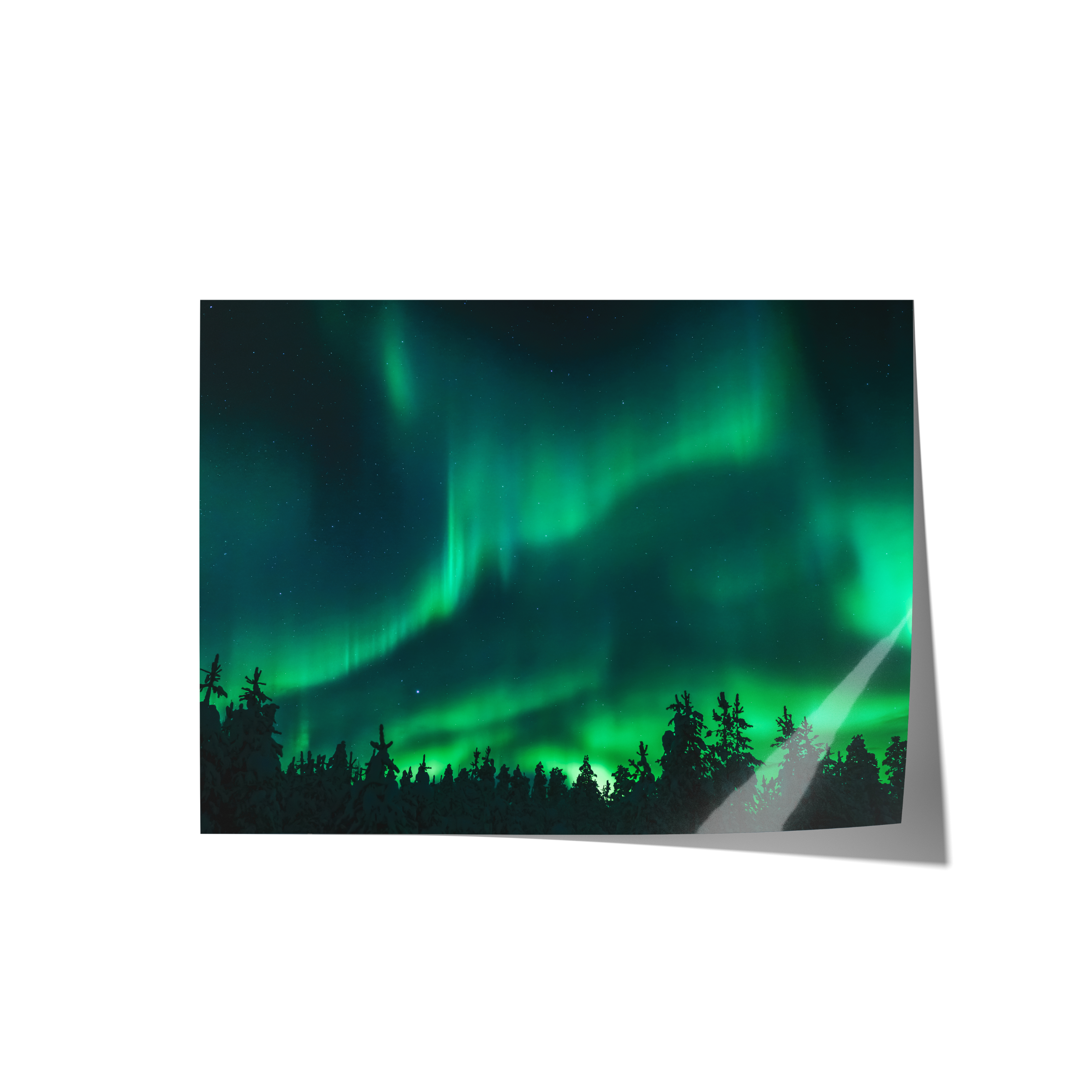 Night Sky Backdrops
