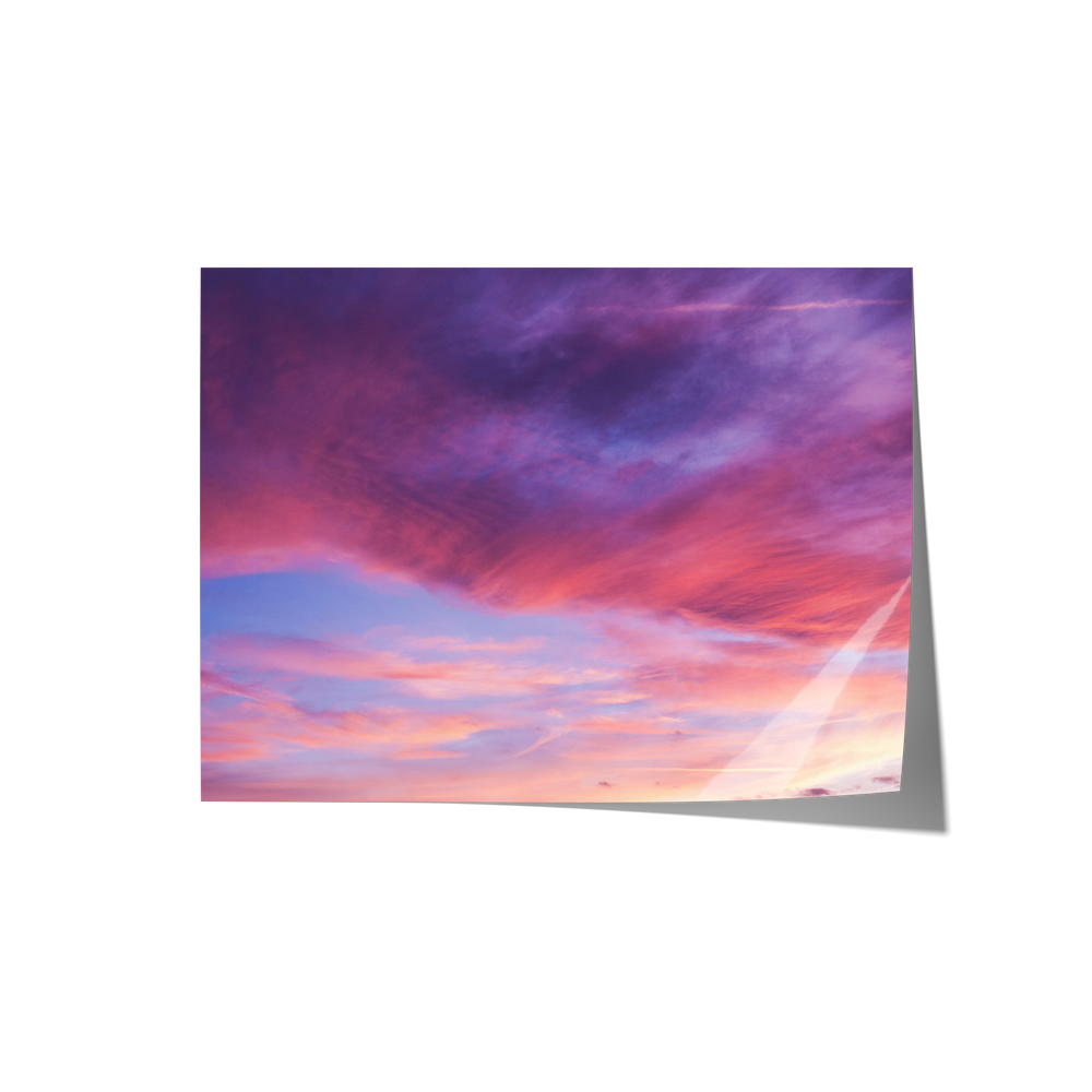 Dreamland Backdrops
