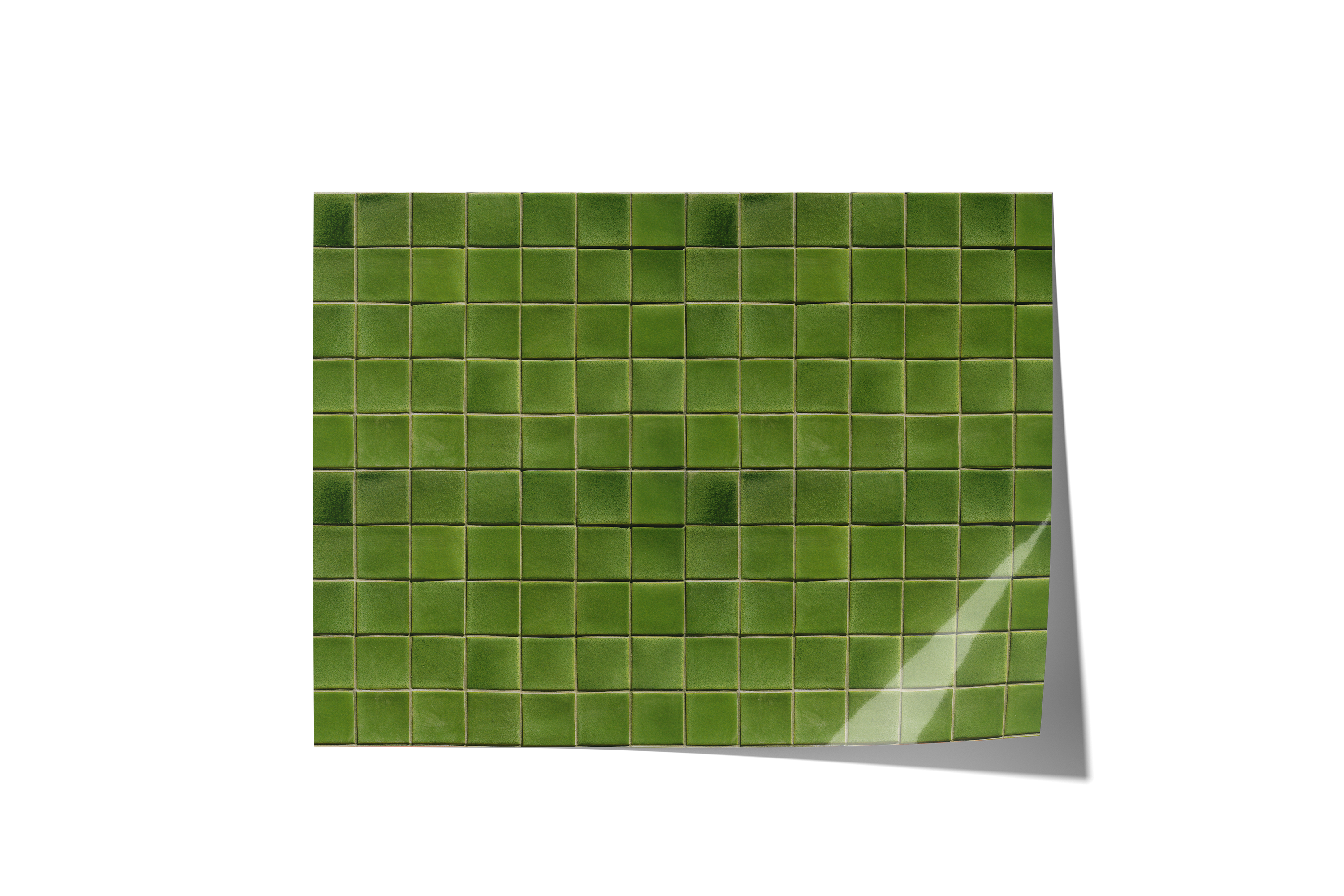 Green With Envy Backdrops