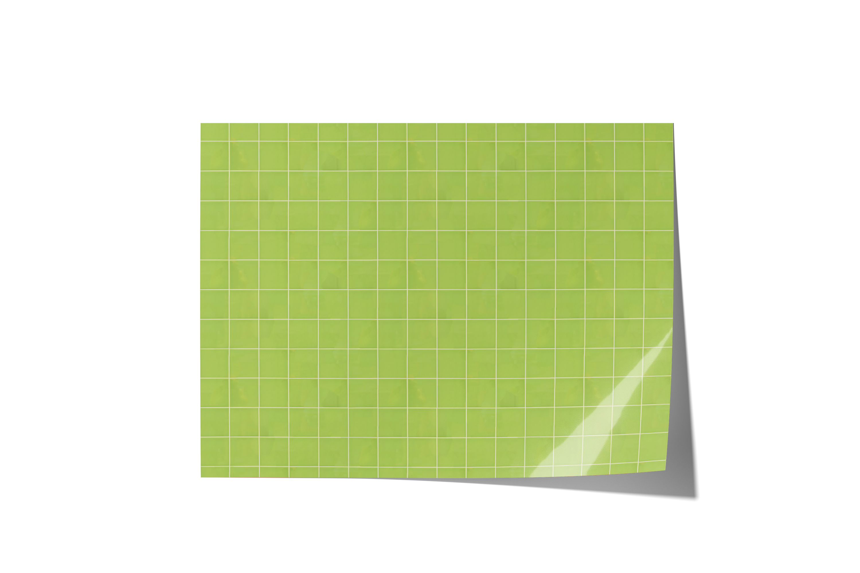 Green With Envy Backdrops