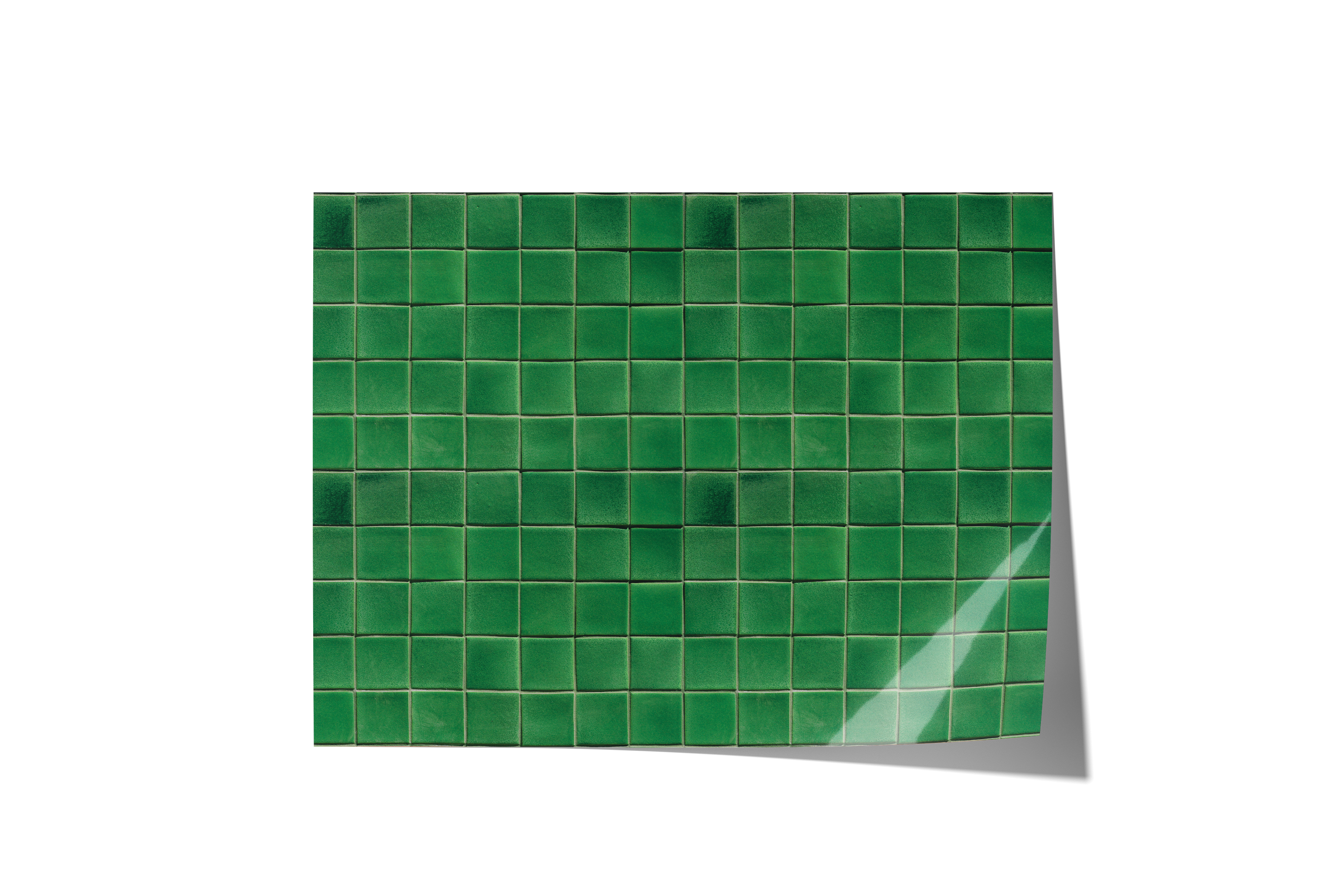 Green With Envy Backdrops