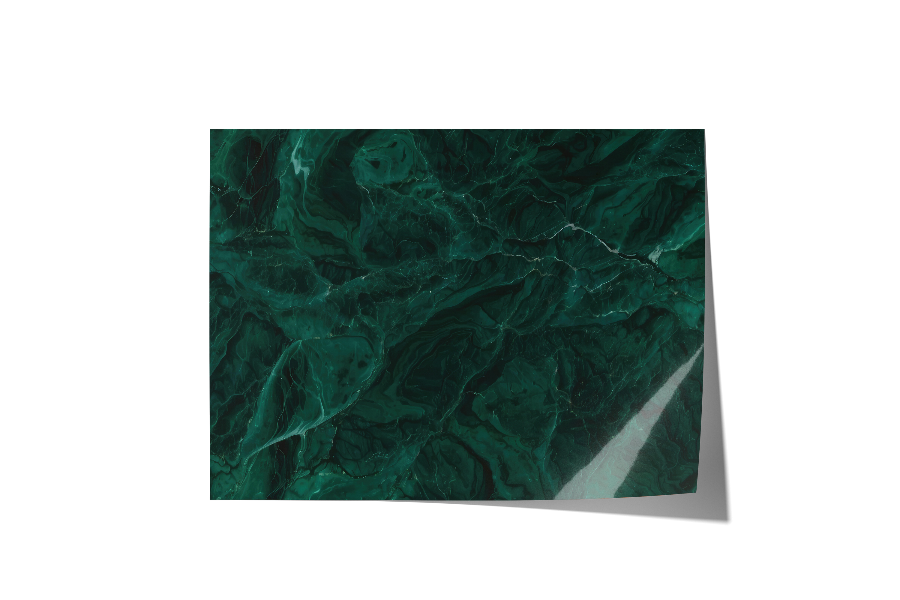 Green With Envy Backdrops
