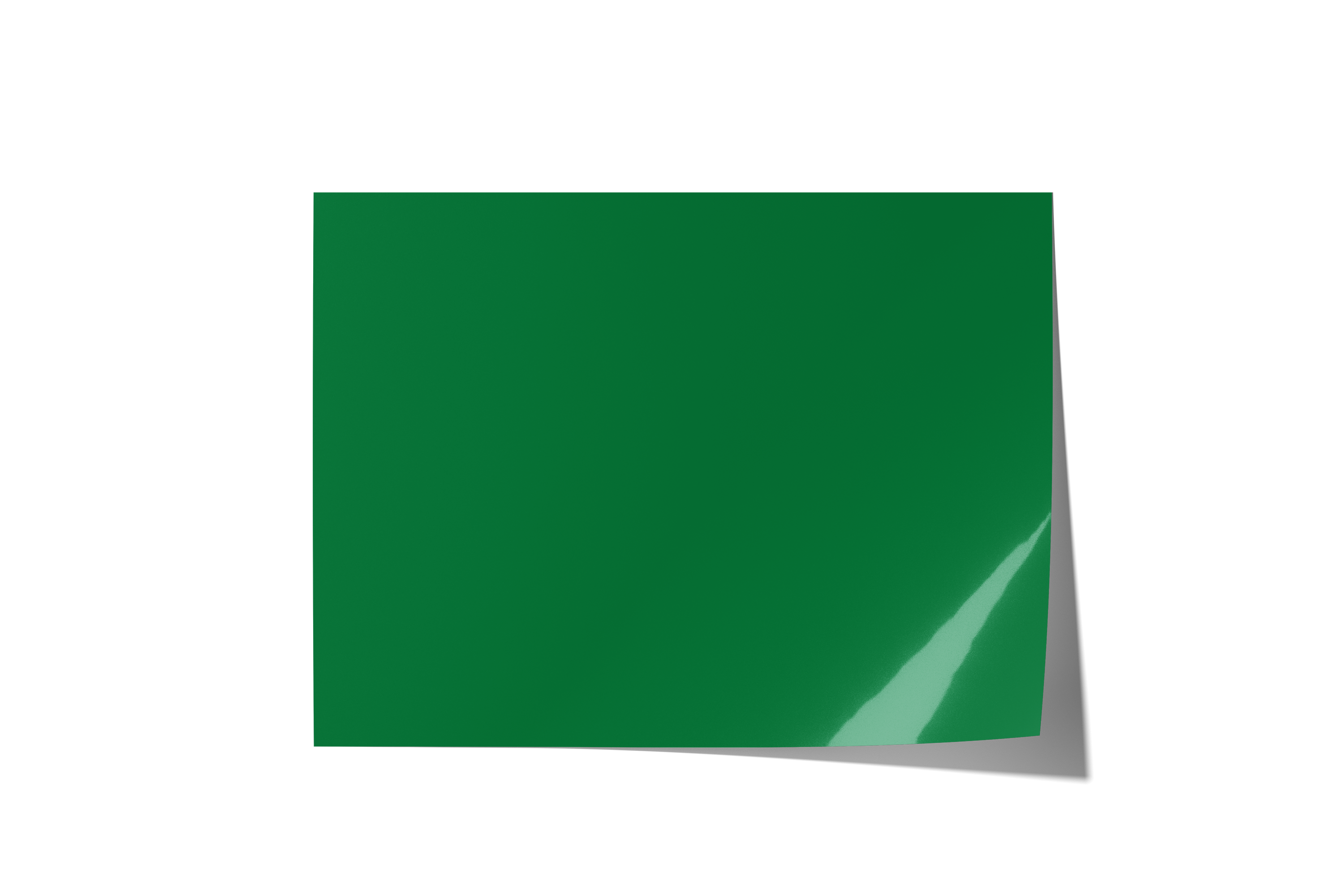 Green With Envy Backdrops