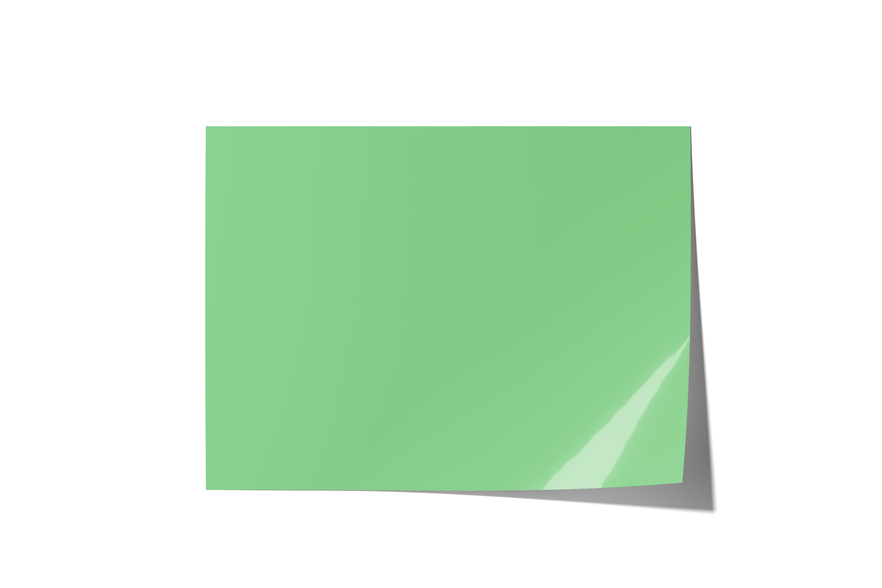 Green With Envy Backdrops