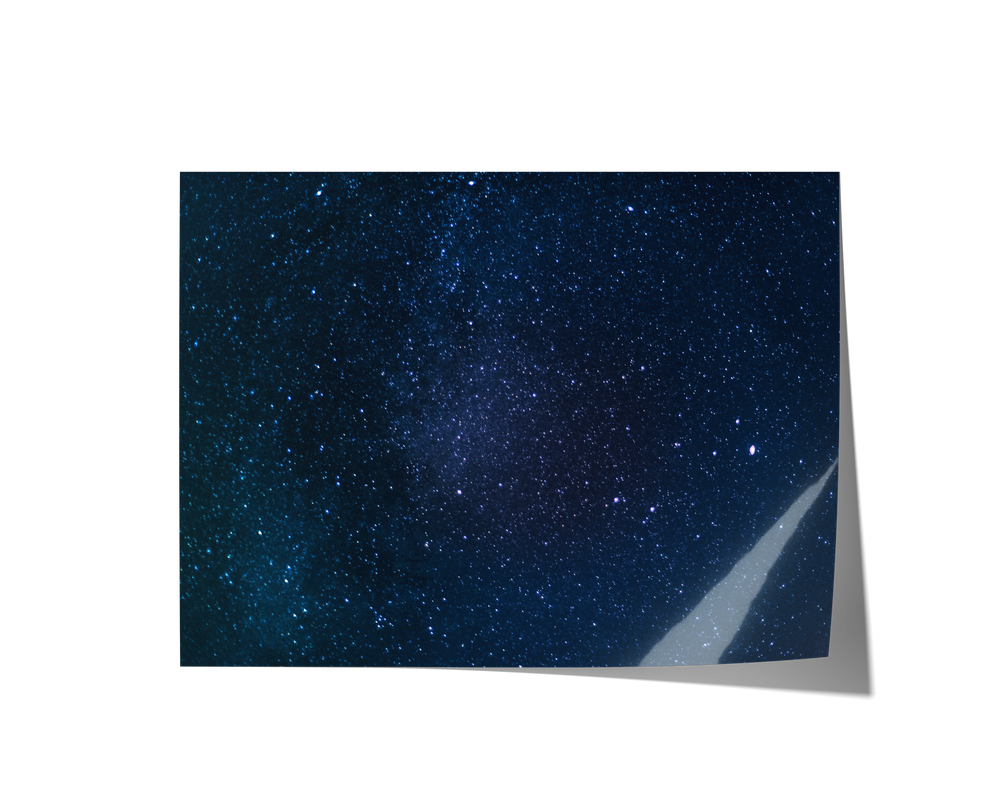 Halloween Backdrops - Collection