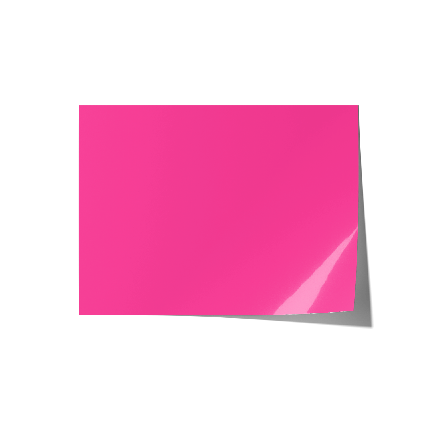 Solid Pink Backdrops