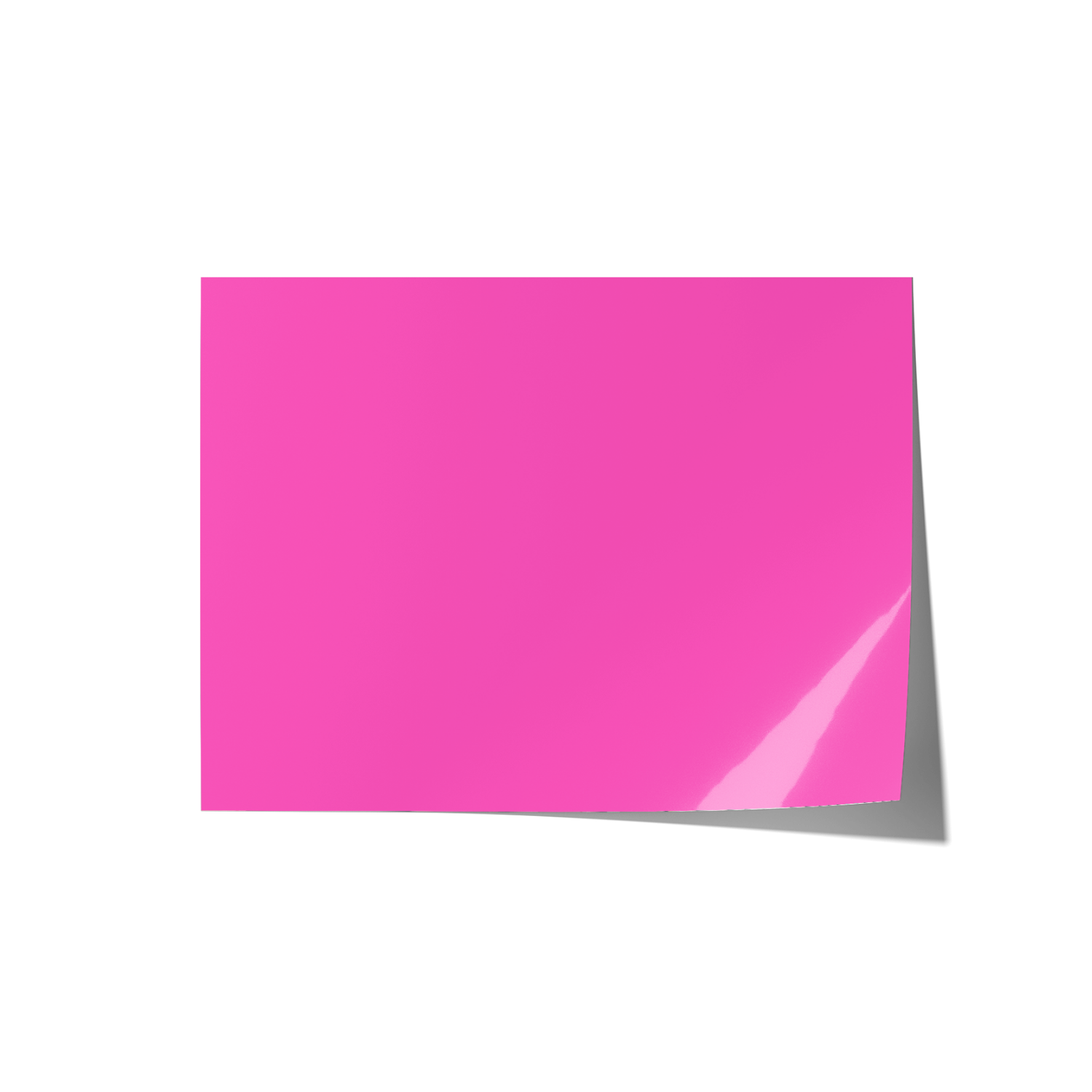 Solid Pink Backdrops