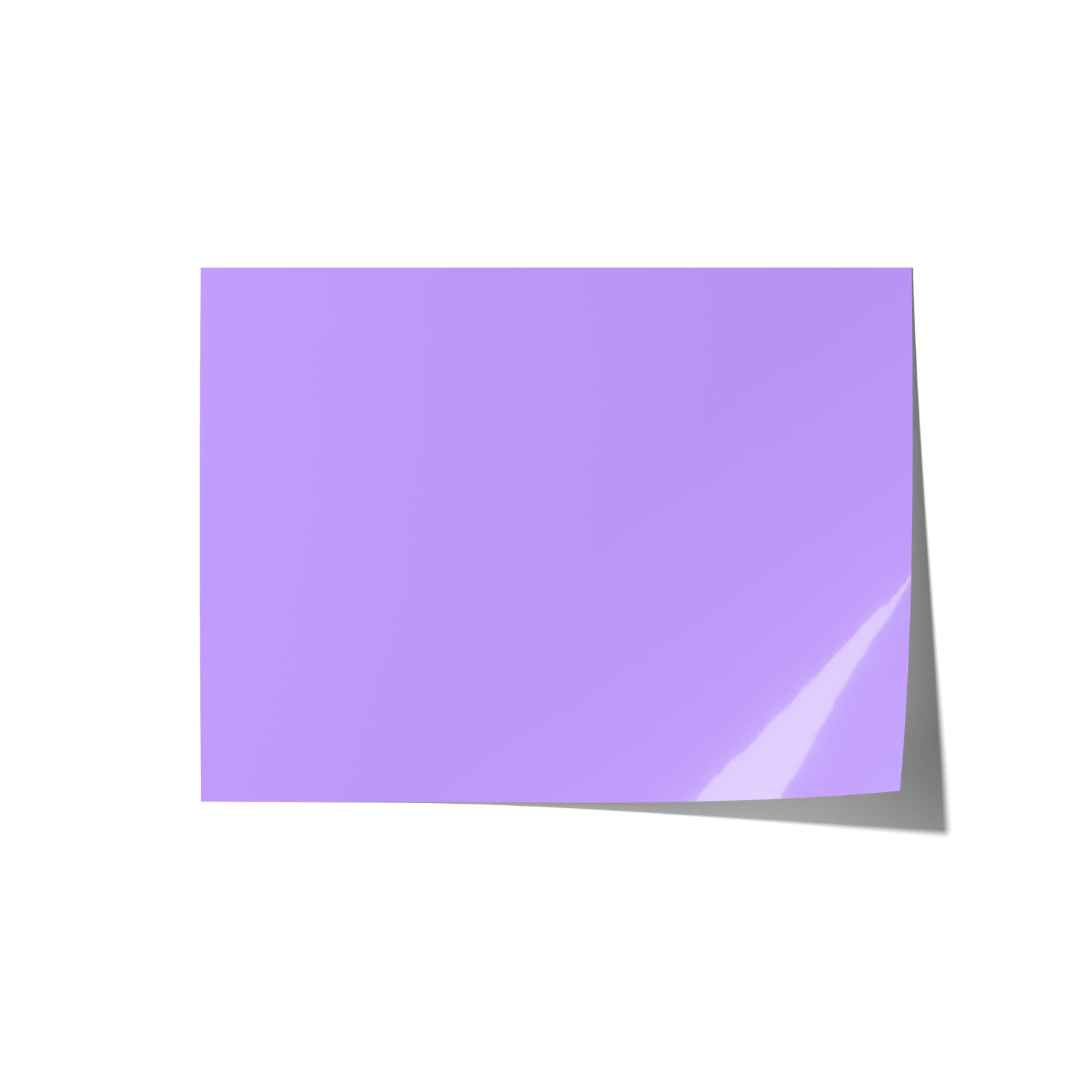 Solid Purple Backdrops