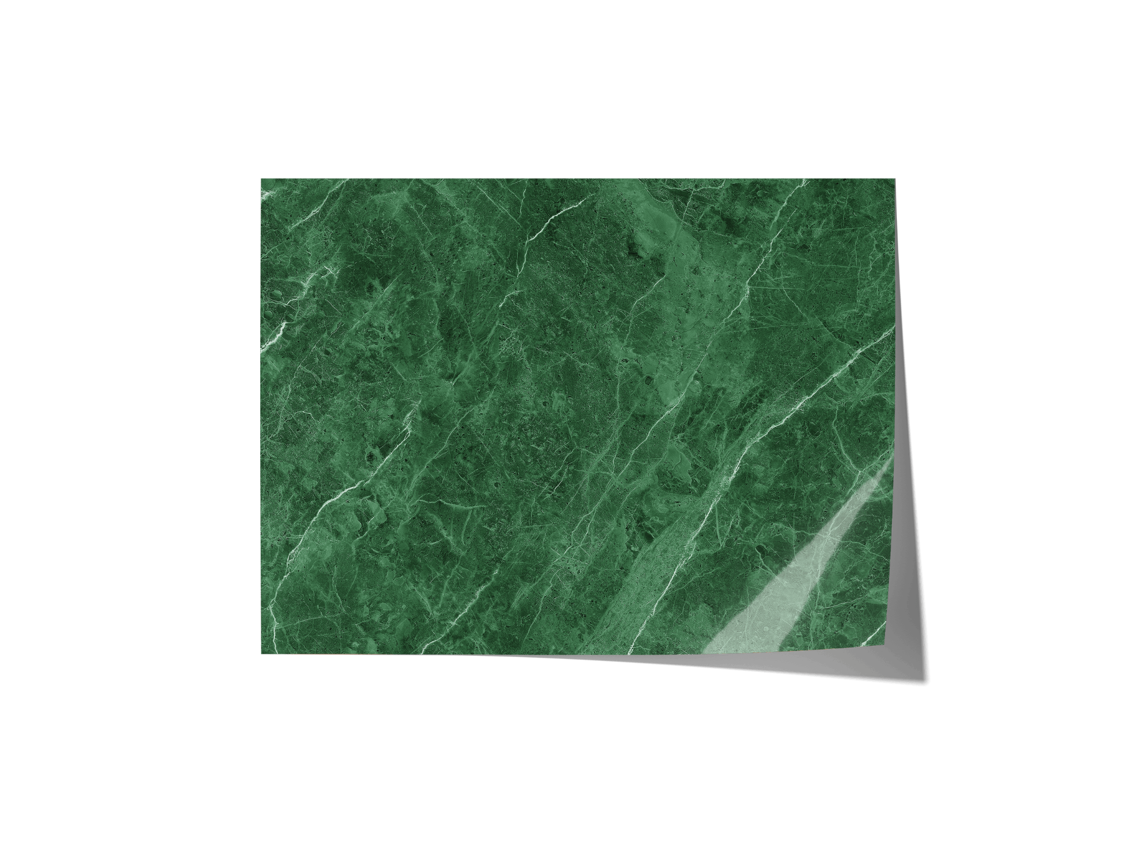 Green With Envy Backdrops